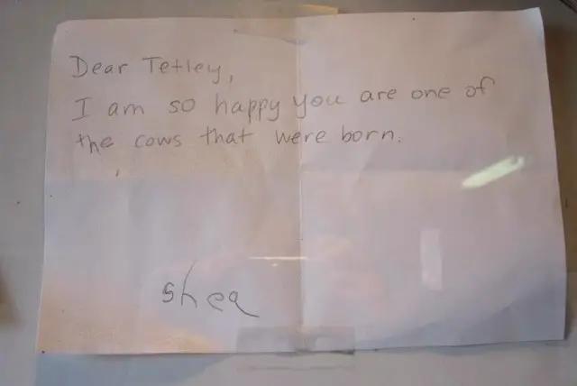 Dear Tetley,I am so happy you are one of the cows that were born.Shea